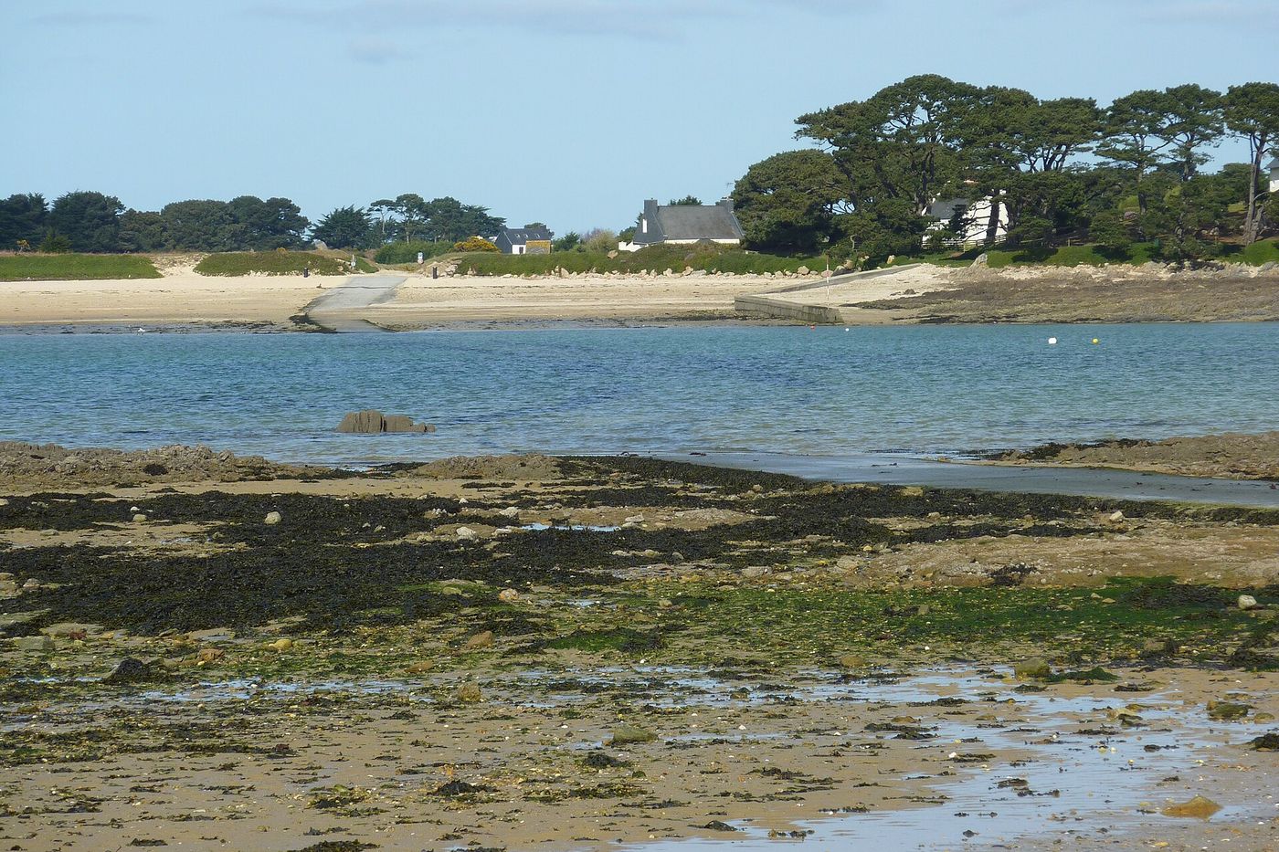 Le passage vers l'île Callot à marée basse, près de Carantec : sable, eau calme et algues découvertes