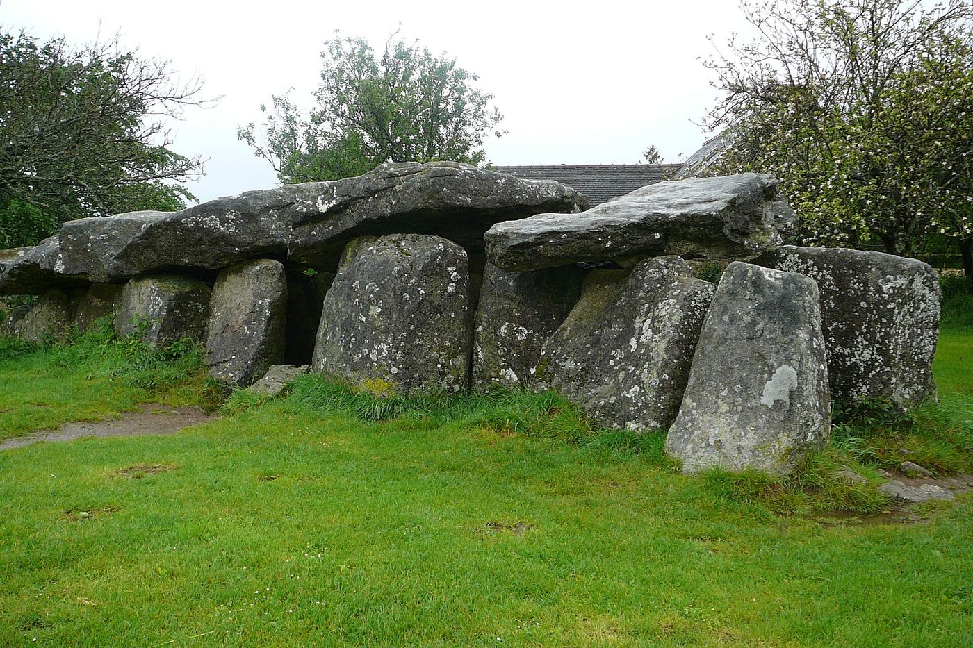 Allée couverte néolithique du Mougau-Bihan, longue file de dalles de granit dans l'herbe, à Commana