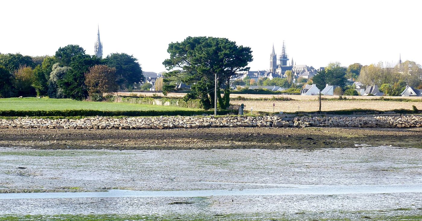 Les clochers de Saint-Pol-de-Léon dépassant des arbres, vus depuis la grève à marée basse